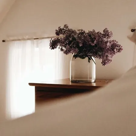 Kamienica Sporting Bed & Breakfast 4*