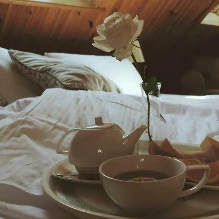 Bed & Breakfast Kamienica Sporting 4*