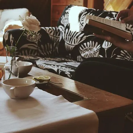 Bed & Breakfast Kamienica Sporting