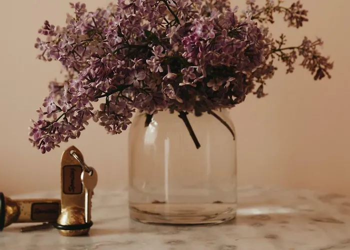 Frühstückspension Kamienica Sporting