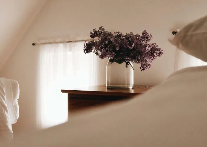 Kamienica Sporting Bed & Breakfast 4*