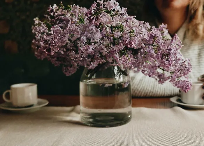 Bed & Breakfast Kamienica Sporting Miedzyzdroje