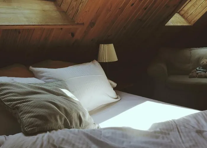 Kamienica Sporting Oda ve Kahvaltı 4*